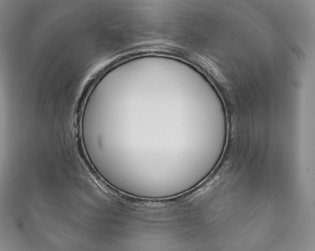 X0000111161164200906301052