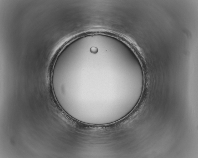X0000111161167200906301052