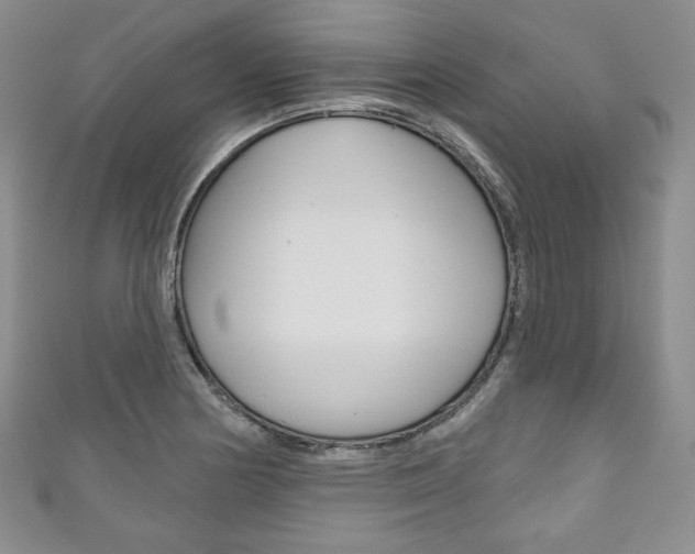 X0000111161178200906301052