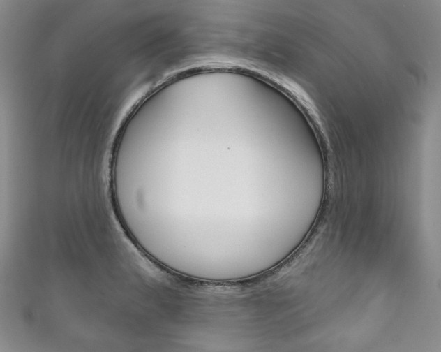 X0000111161183200906301052