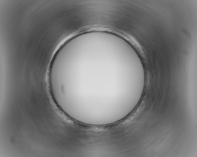 X0000111161190200906301052