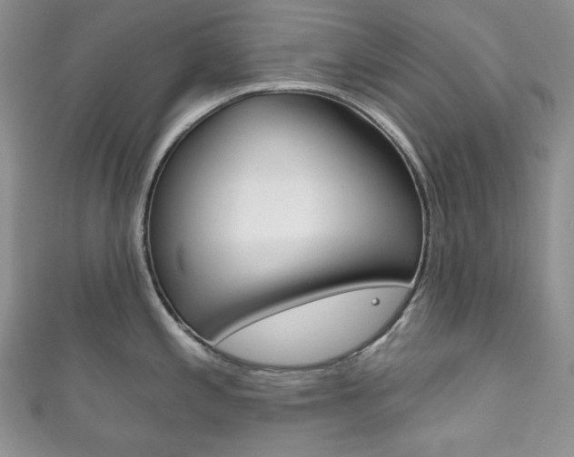 X0000111161197200906301052
