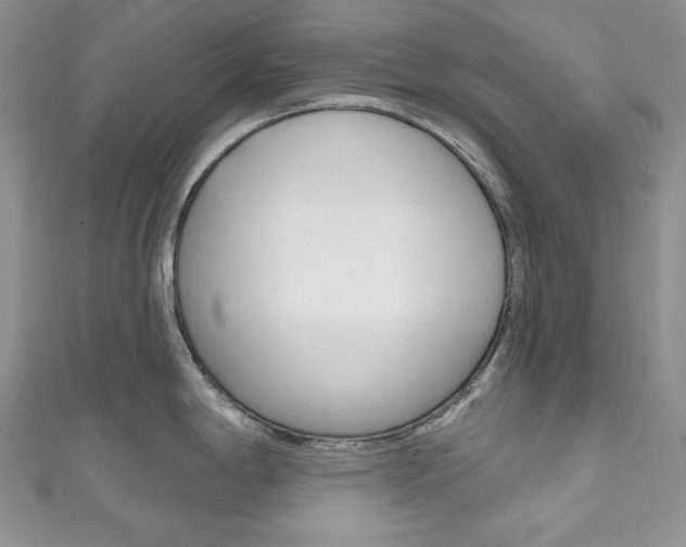X0000111161198200906301052