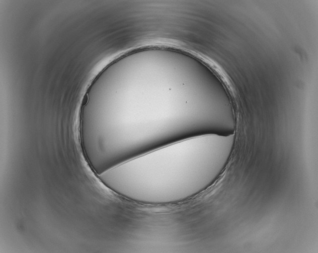 X0000111161199200906301052