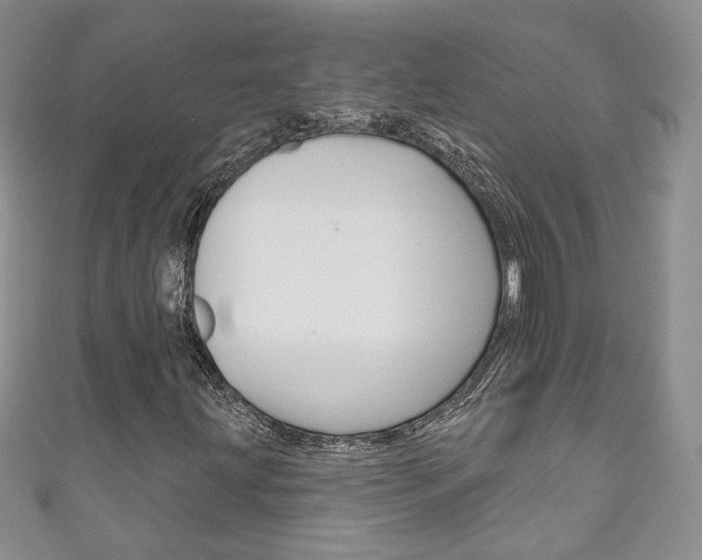 X0000111161203200906301051