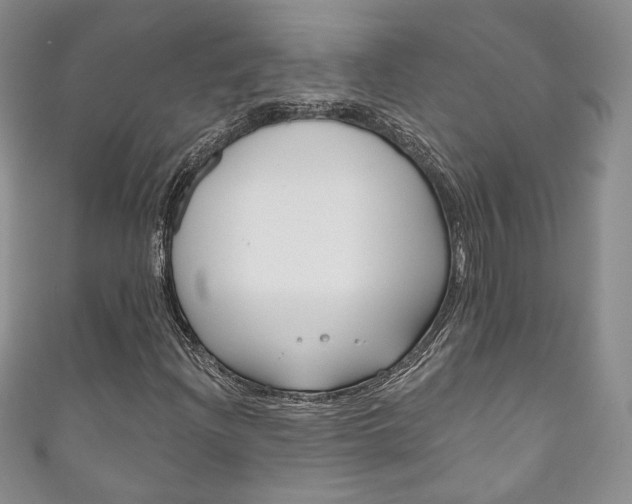 X0000111161204200906301051