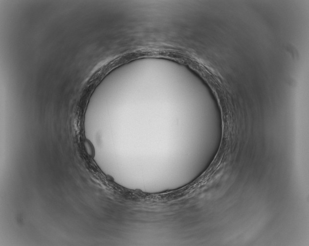 X0000111161206200906301051