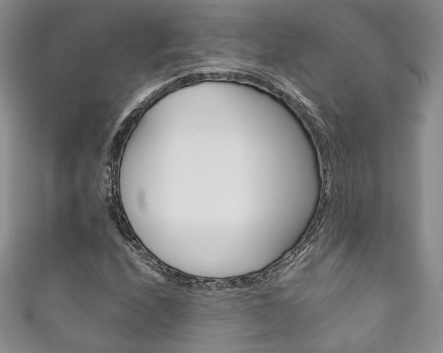 X0000111161208200906301051