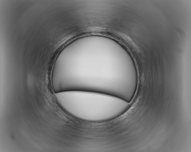 X0000111161209200906301051
