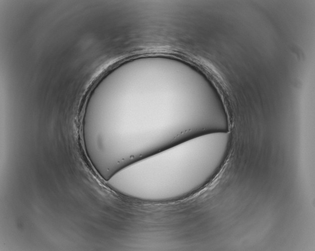 X0000111161212200906301051