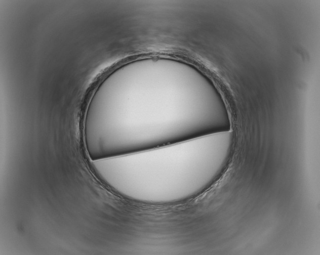 X0000111161214200906301051