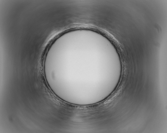 X0000111161215200906301051