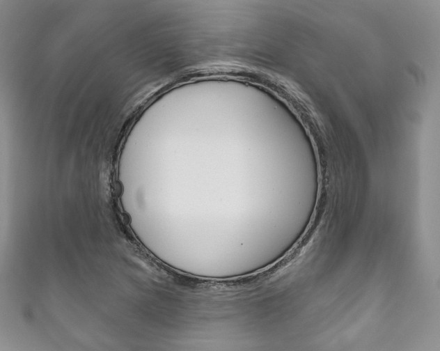 X0000111161217200906301051