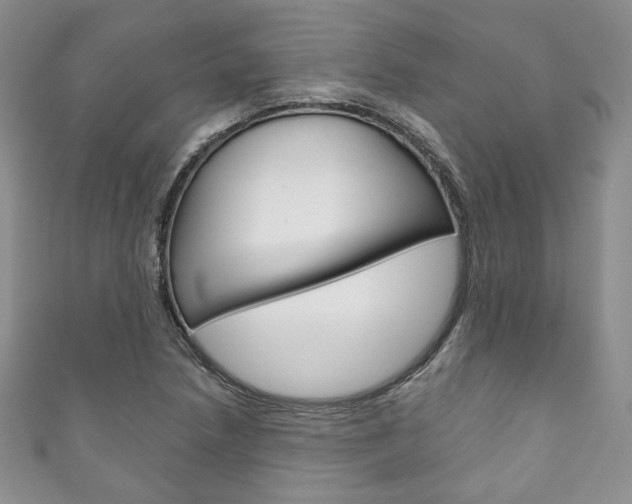 X0000111161218200906301051