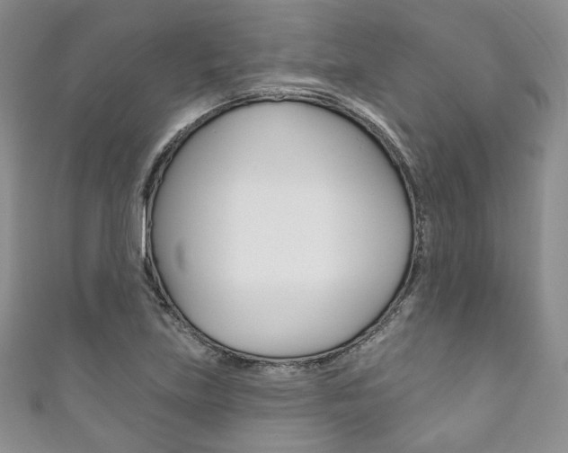 X0000111161219200906301051