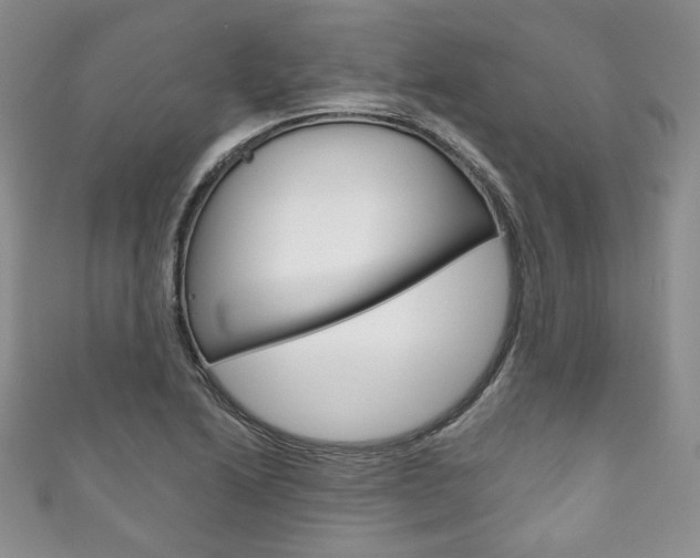 X0000111161222200906301051