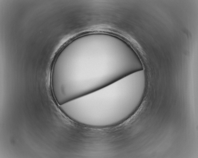 X0000111161224200906301051