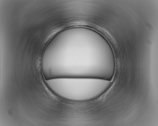 X0000111161225200906301051