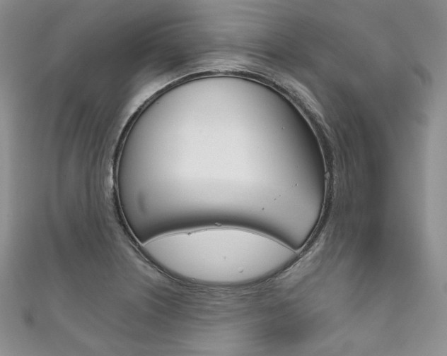 X0000111161226200906301051