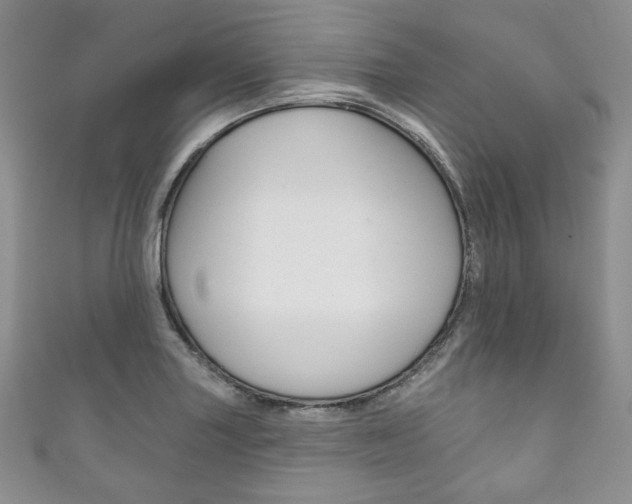 X0000111161227200906301051