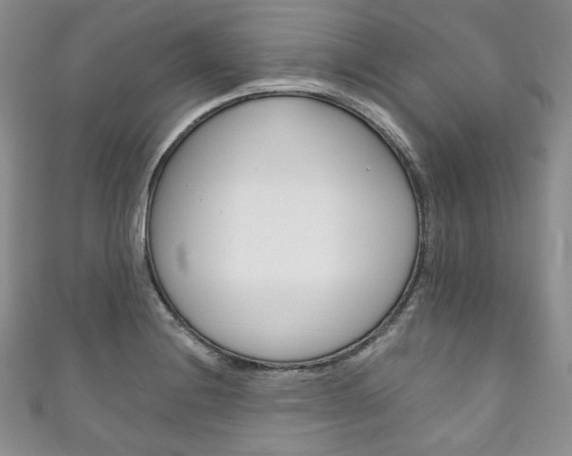 X0000111161228200906301051