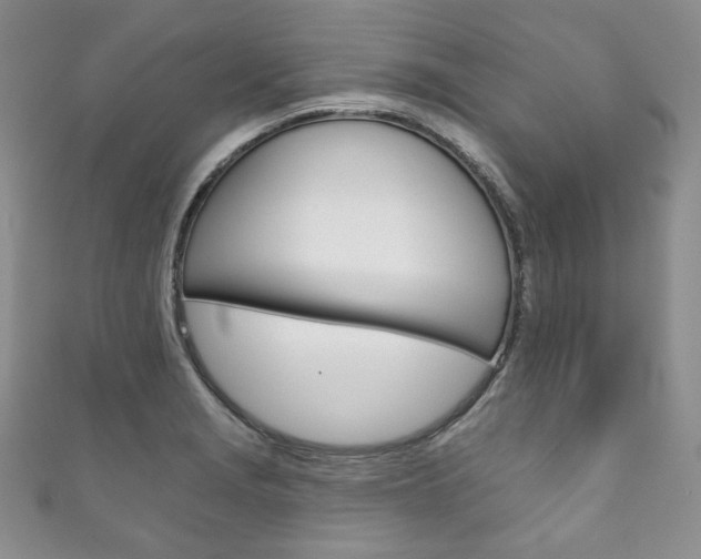 X0000111161229200906301051