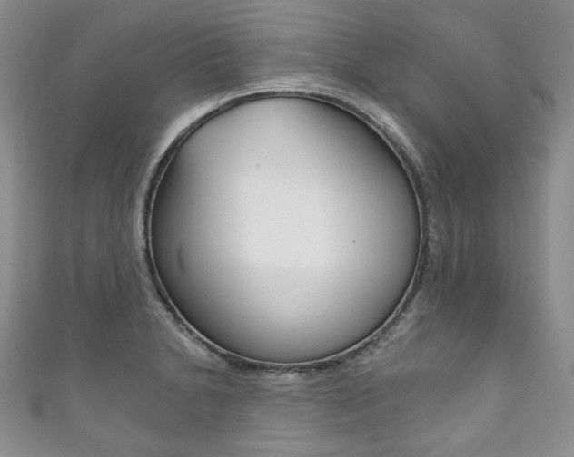 X0000111161230200906301051