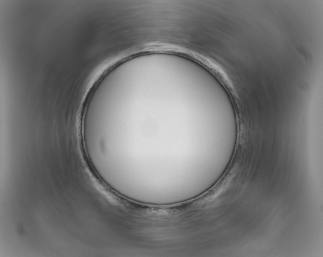 X0000111161231200906301051