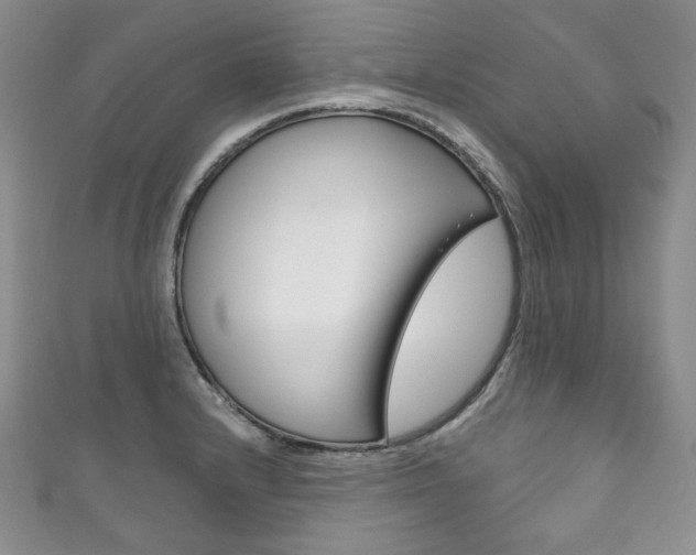 X0000111161232200906301051