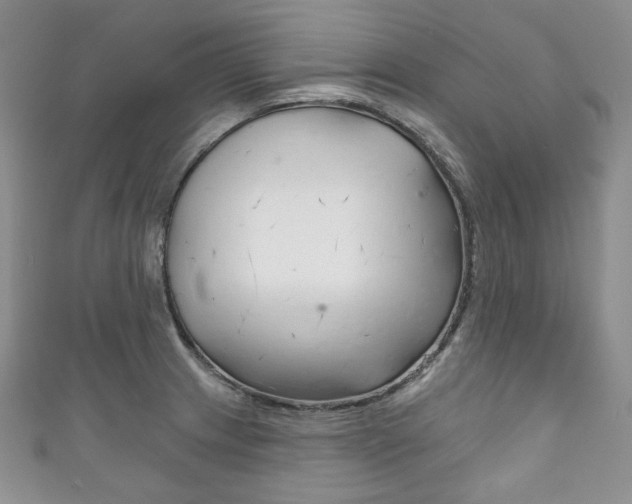 X0000111161233200906301051