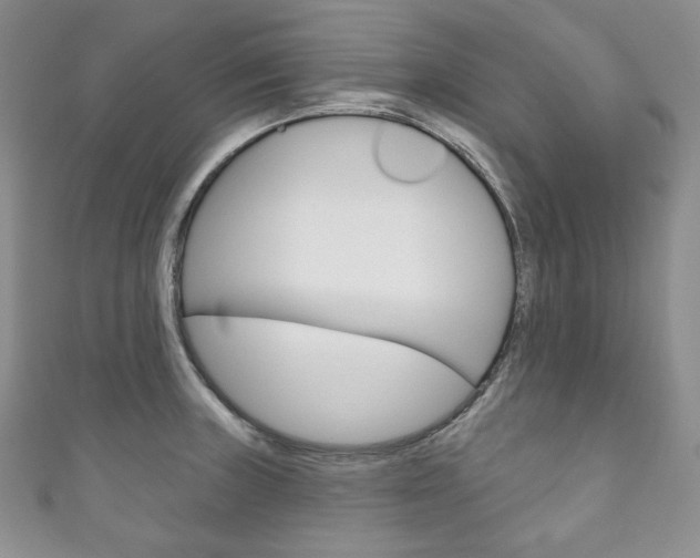 X0000111161235200906301051