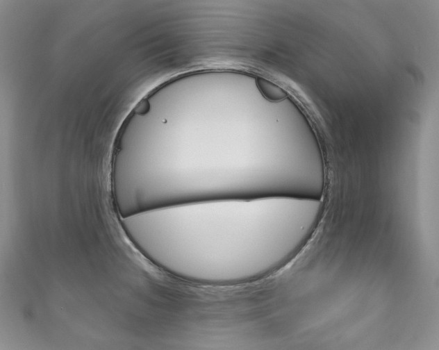 X0000111161236200906301051