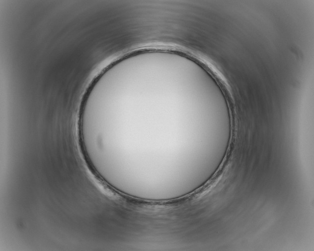 X0000111161237200906301051
