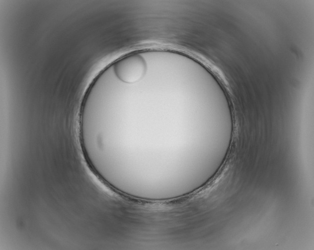 X0000111161239200906301052