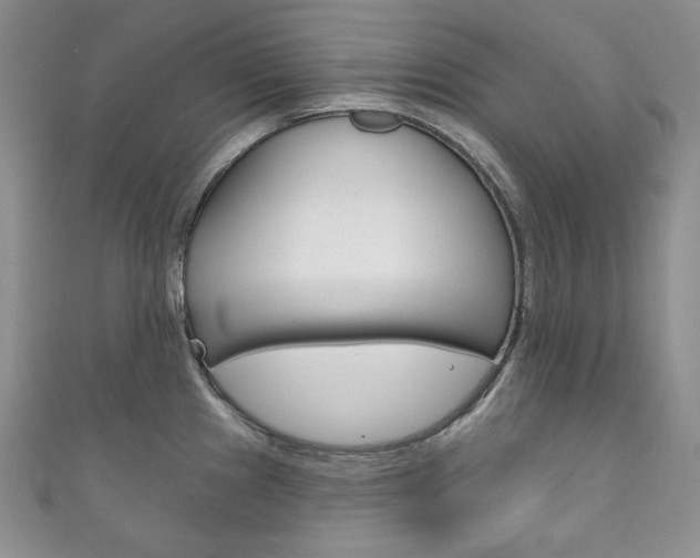 X0000111161241200906301052