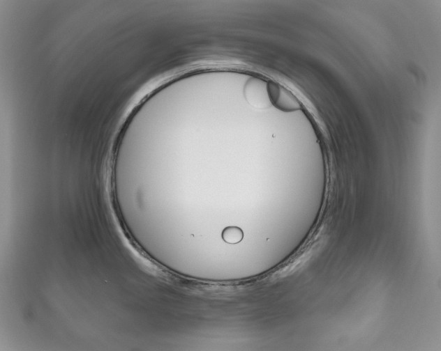 X0000111161245200906301052
