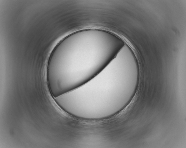 X0000111161246200906301052