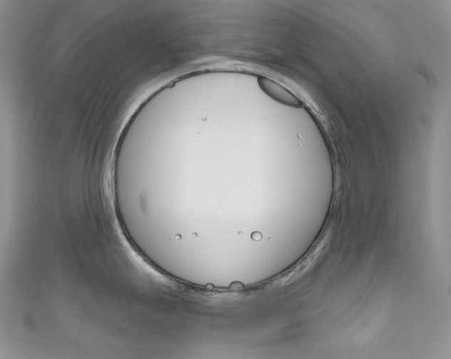 X0000111161247200906301052