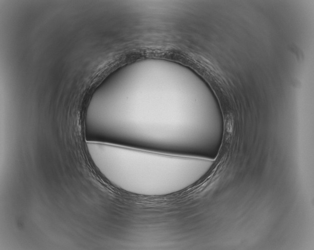 X0000111161252200906301051