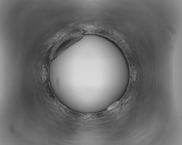 X0000111161253200906301051