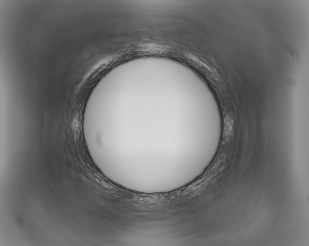X0000111161254200906301051