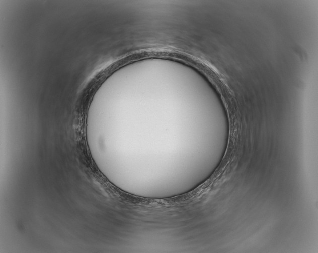 X0000111161255200906301051