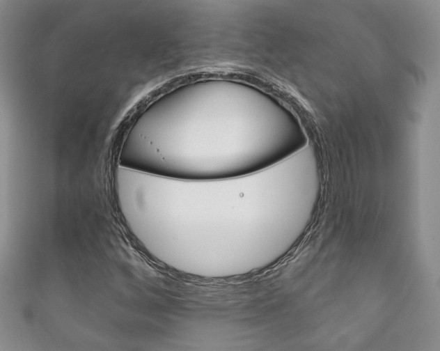 X0000111161256200906301051
