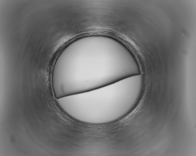 X0000111161259200906301051
