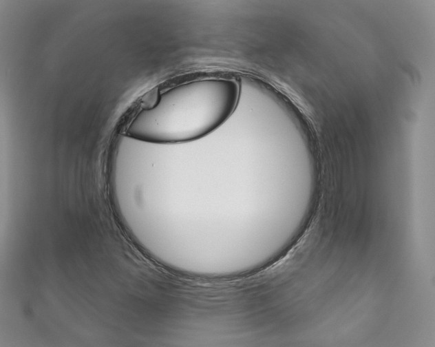 X0000111161261200906301051