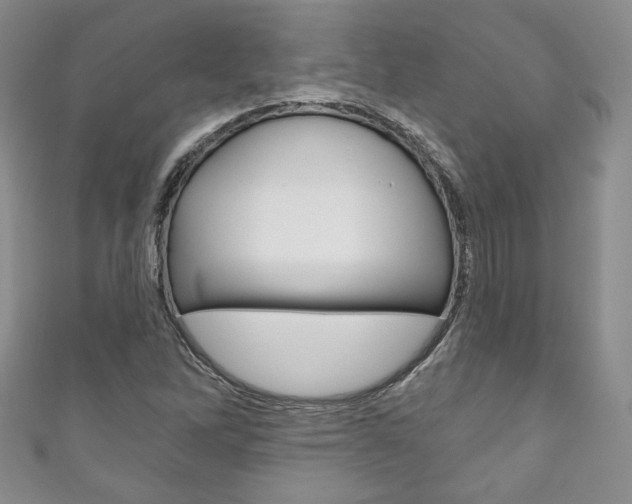 X0000111161262200906301051