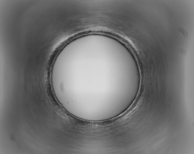 X0000111161263200906301051