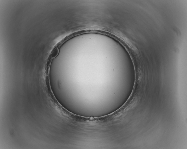 X0000111161264200906301051