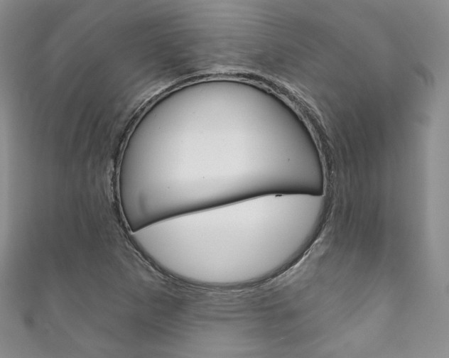 X0000111161265200906301051