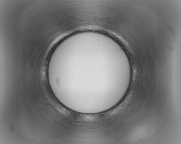 X0000111161266200906301051